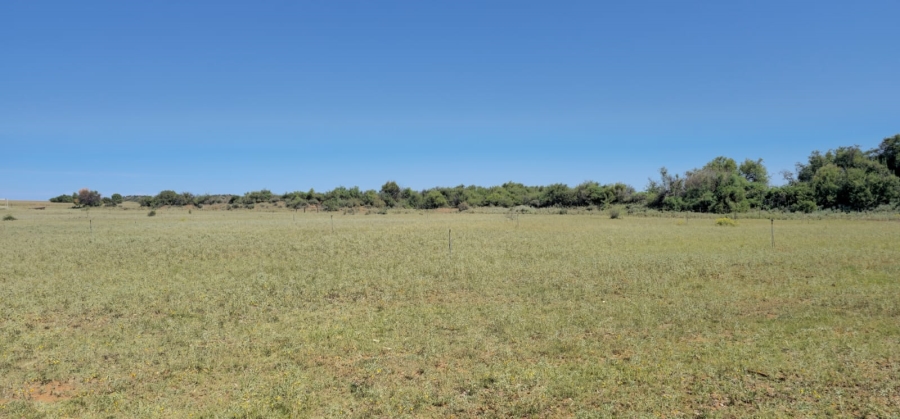 Commercial Property for Sale in Mangaung Free State